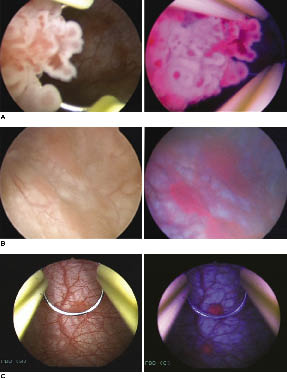 DrGomella_Fig1.eps